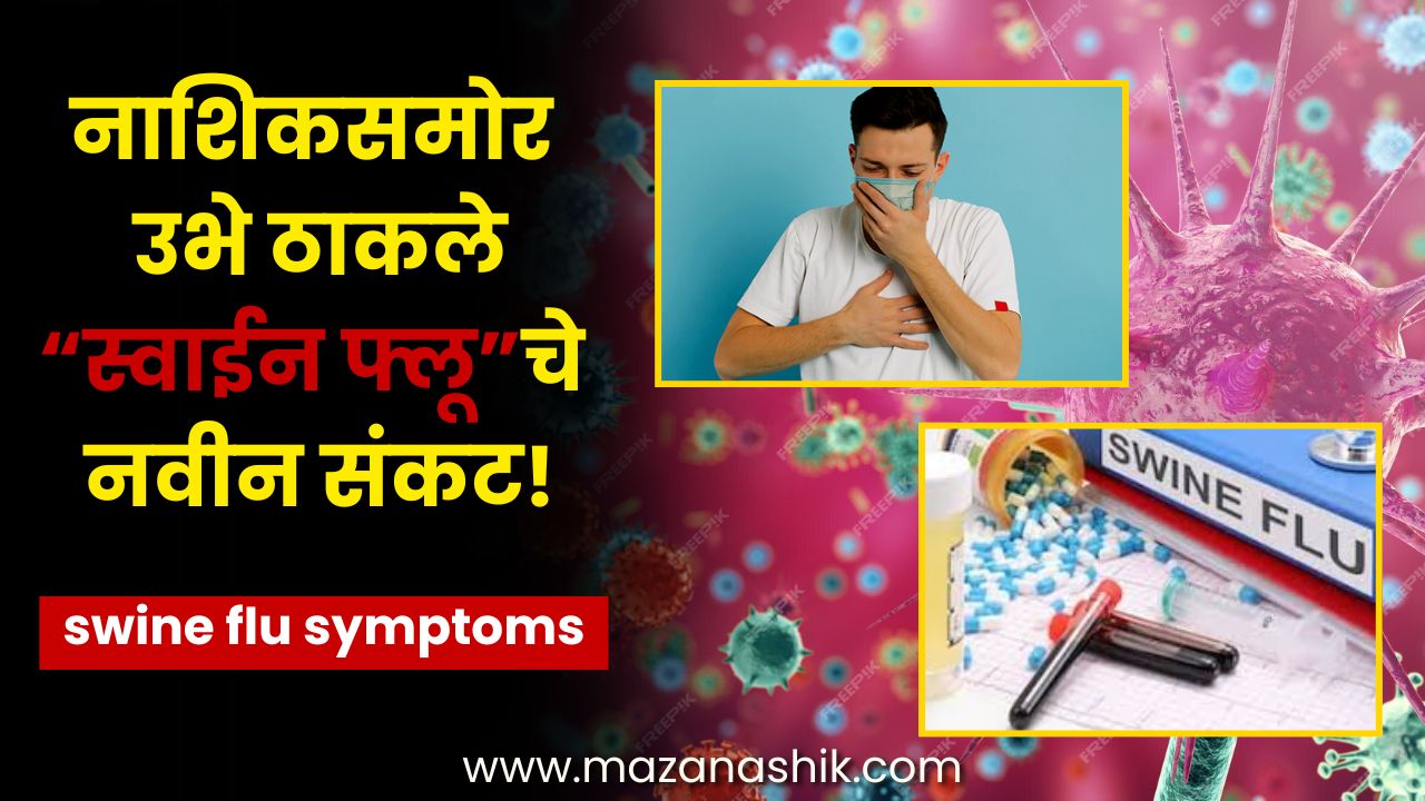 Swine Flu Symptoms Nashik News